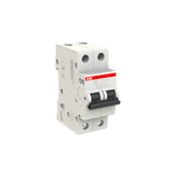 Miniature Circuit Breaker - 2P - B20 A